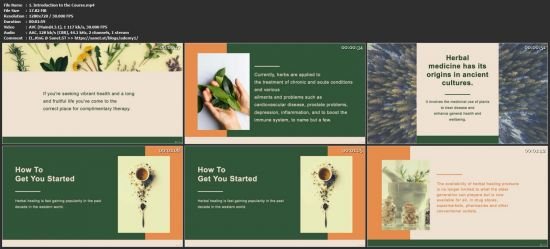 A Beginner's Guide to Herbal Medicine