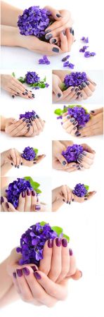 Manicure, female hands with flowers beautiful stock photo