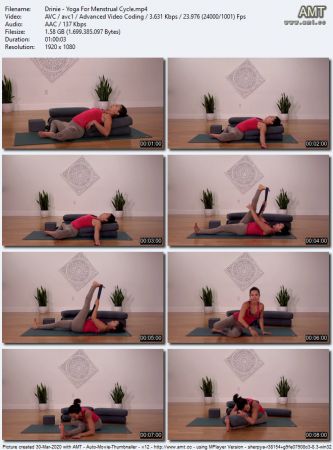 The Collective Yoga - Yoga For Your Menstrual Cycle