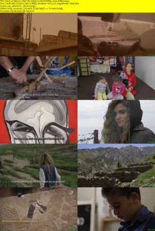 Silence After the Storm 2016 WEBRip x264-ION10