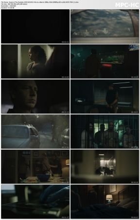 The Outsider 2020 S01 1080p 10bit WEBRip 6CH x265 HEVC-PSA