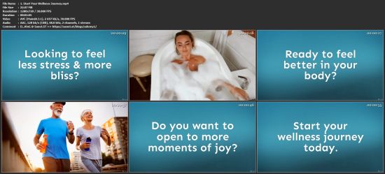 Wellness Program to Feel Blissful in Daily Living
