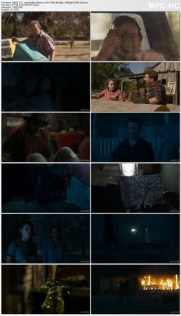 Leprechaun Octology 1080p BluRay 10Bit AC3 H265-d3g