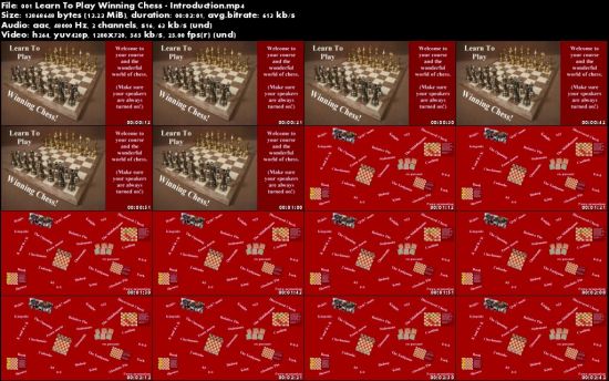 Learn To Play Winning Chess!