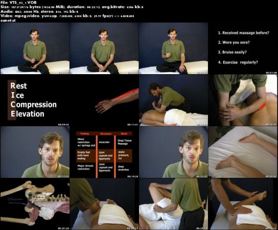 Deep Tissue and Neuromuscular Therapy: The Torso