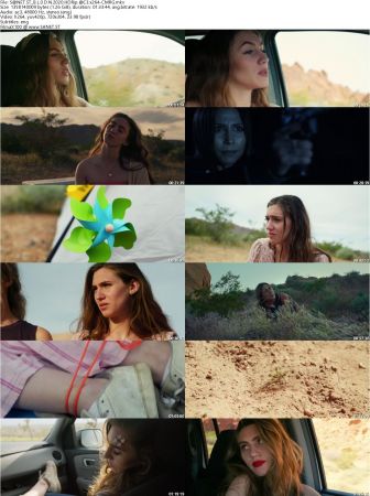 By Light Of Desert Night 2020 HDRip AC3 x264-CMRG