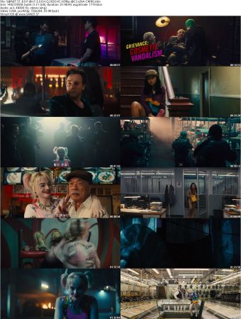 Birds Of Prey And The Fantabulous Emancipation Of One Harley Quinn 2020 HC HD-Rip AC3 x264-CMRG