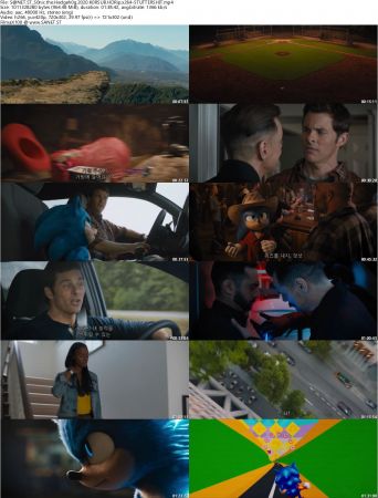 Sonic the Hedgehog 2020 KORSUB HDRip x264-STUTTERSHIT