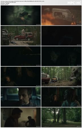 The Outsider 2020 S01 1080p 10bit WEBRip 6CH x265 HEVC-PSA