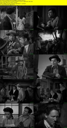 Tortilla Flat 1942 WEBRip XviD MP3-XVID
