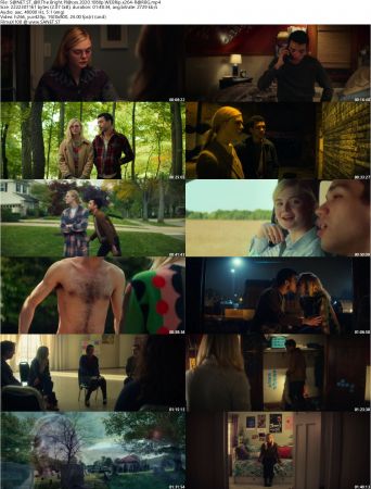 All The Bright Places 2020 1080p WEBRip x264-RARBG