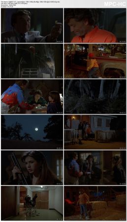 Leprechaun Octology 1080p BluRay 10Bit AC3 H265-d3g