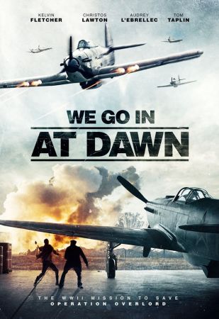 We Go In At Dawn 2020 1080p WEB-DL H264 AC3-EVO
