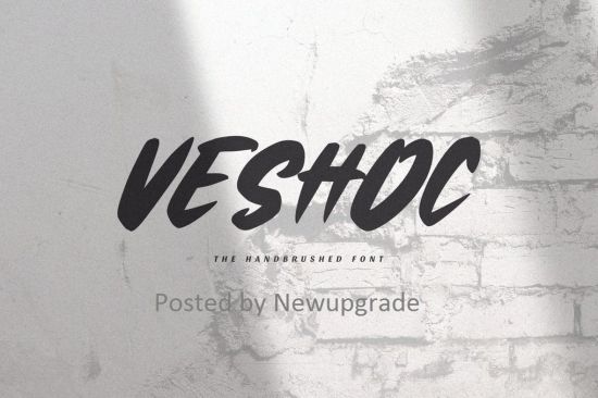 Veshoc   The Handbrushed Font