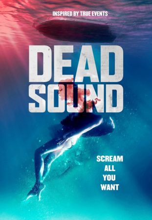 Dead Sound 2020 1080p WEB-DL H264 AC3-EVO