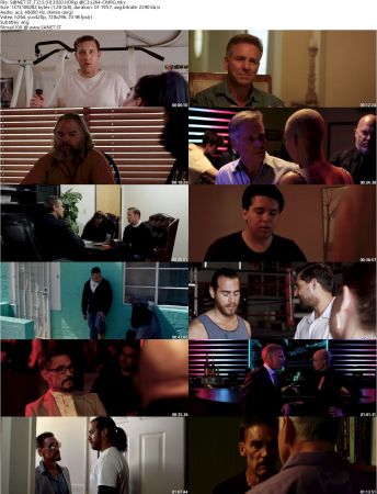 The Dark Side Of Opulent 2020 HDRip AC3 x264-CMRG