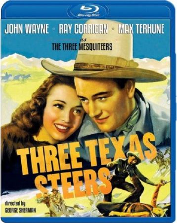 Three Texas Steers 1939 1080p BluRay x264-OFT
