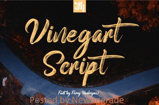 Creativemarket   Vinegart   Handwritten Font 4725816