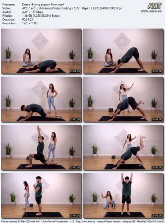 The Collective Yoga - Flying Pigeon Flow