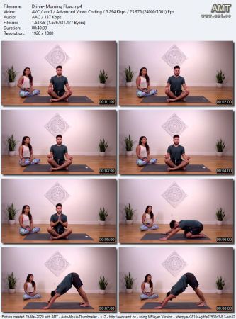 The Collective Yoga - Morning Flow