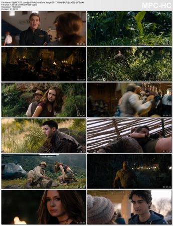 Jumanji Trilogy 1995-2019 1080p BluRay x265-ZiTO