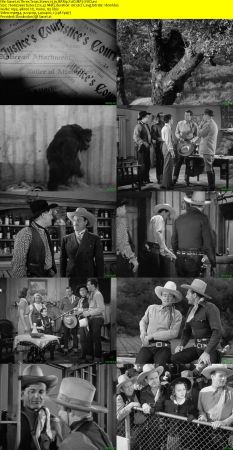 Three Texas Steers 1939 BRRip XviD MP3-XVID