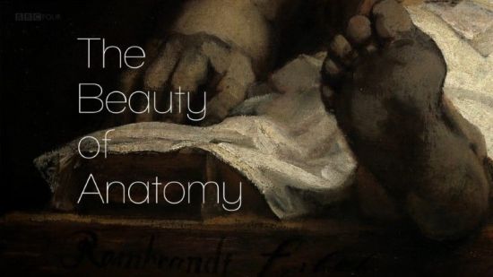 BBC - The Beauty of Anatomy (2014) 1080p HDTV x265 AAC MVGroup