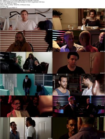 The Dark Side Of Opulent 2020 1080p WEB-DL H264 AC3-EVO