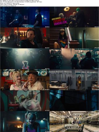 Birds Of Prey And The Fantabulous Emancipation Of One Harley Quinn 2020 HC HDRip XviD AC3-EVO
