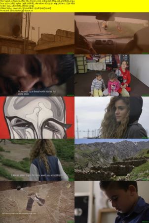 Silence After the Storm 2016 1080p WEBRip x264-RARBG