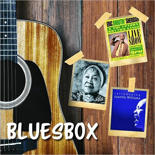 VA - Silverwolf Blues Box (2019) CD Rip