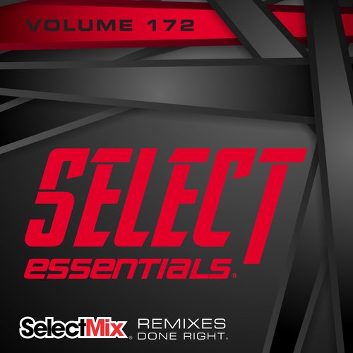 VA - Select Mix - Select Essentials Vol.172 (2020)