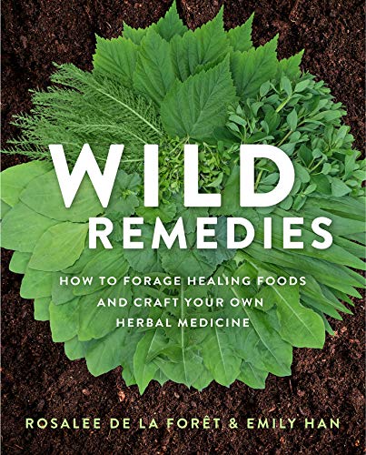 FreeCourseWeb Wild Remedies How to Forage Healing Foods and Craft Your Own Herbal Medicine AZW3