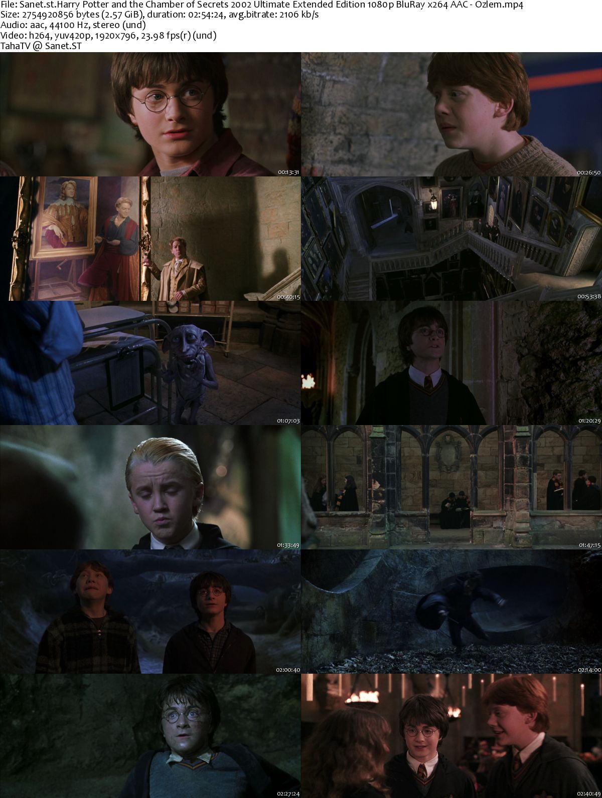 Download Harry Potter and the Chamber of Secrets 2002