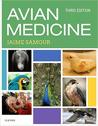 Avian Medicine 3rd Edition