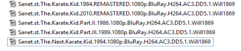 The Karate Kid Collection 1080p BluRay H264 AC3 DD5.1 Will1869