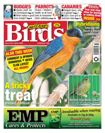 FreeCourseWeb Cage Aviary Birds April 8 2020