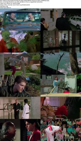 The Karate Kid Collection 1080p BluRay H264 AC3 DD5.1 Will1869