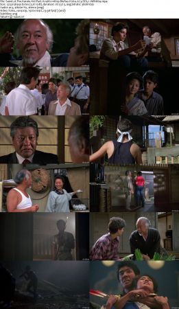 The Karate Kid Collection 1080p BluRay H264 AC3 DD5.1 Will1869