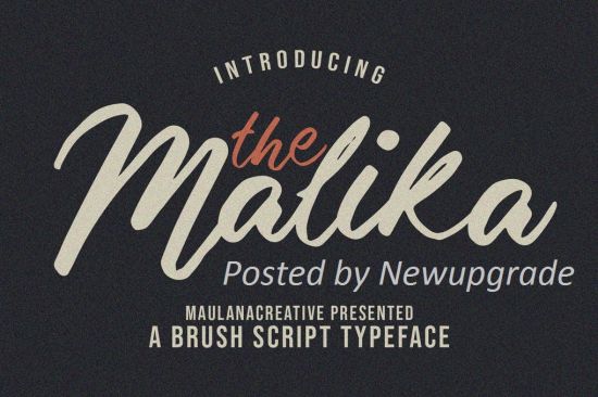 Creativemarket   Malika Brush Script Typeface 4649040