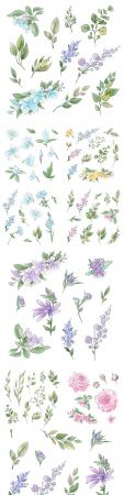 Flowers and twigs with leaves watercolor design illustrations
