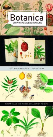 300 Vintage Botanical Illustrations 4247680