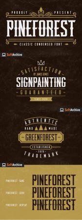 Creativemarket   Pineforest   Classic Condensed Font 4802341