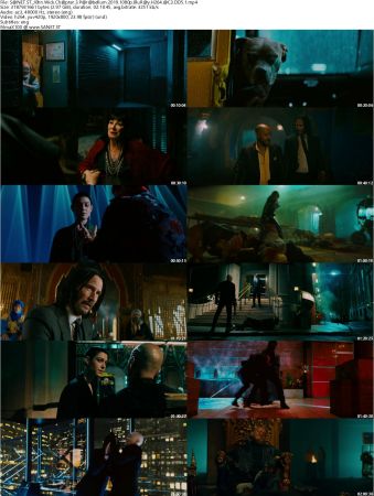 John Wick Trilogy 1080p BluRay H264 AC3 DD5.1-Will1869