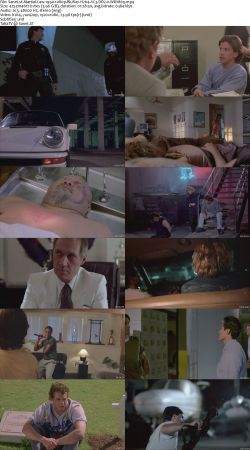Martial Law Trilogy 1080p BluRay H264 AC3 DD2.0 Will1869