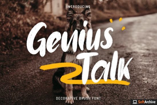 Genius Talk   Brush Font