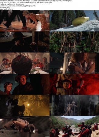 Indiana Jones Collection 1080p BluRay H264 AC3 DD5.1 Will1869