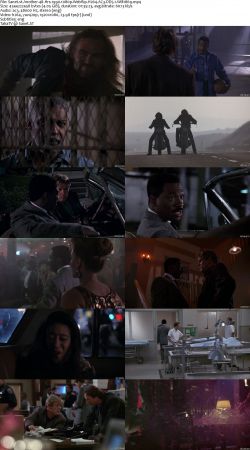 48 Hrs Duology 1080p H264 AC3 DD5.1 Will1869