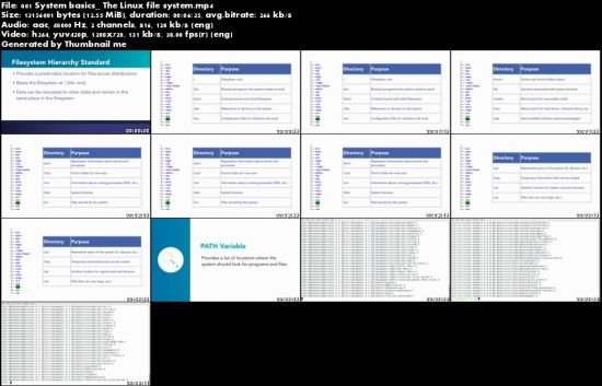 Linux Tips Weekly (Updated 4/7/2020)