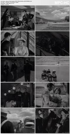 Rio Grande 1950 1080p BluRay x265-RARBG